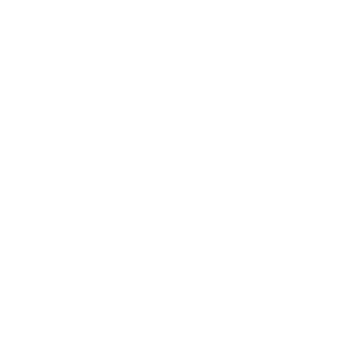 Punto de Negocio, inicio